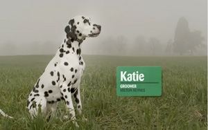 Adbreakanthems Pets At Home – We Know Pets By Heart tv advert ad music
