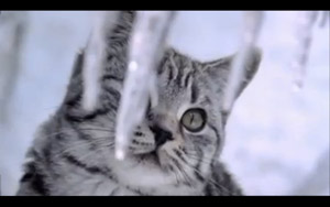 Adbreakanthems Whiskas – Temptations tv advert ad music