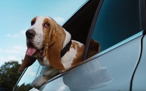 Adbreakanthems VW – Woofwagon tv advert ad music