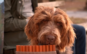 Adbreakanthems Mars – Winning Dog tv advert ad music