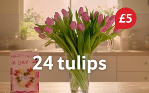 Adbreakanthems Tesco – Mother’s Day Tulips tv advert ad music