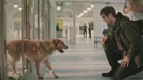 Adbreakanthems Dogs Trust – Special Someone tv advert ad music