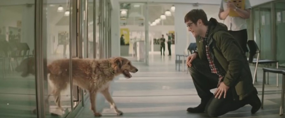 Adbreakanthems Dogs Trust – Special Someone tv advert ad music