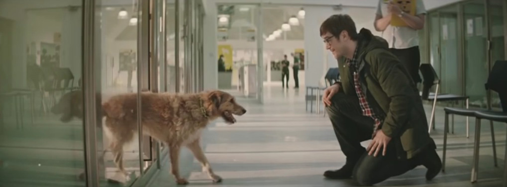 dogs trust ad song
