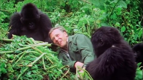 Adbreakanthems BBC Earth – David Attenborough at 90 tv advert ad music