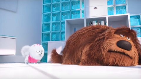 Adbreakanthems Sky Broadband – The Secret Life of Pets: Dance Party tv advert ad music