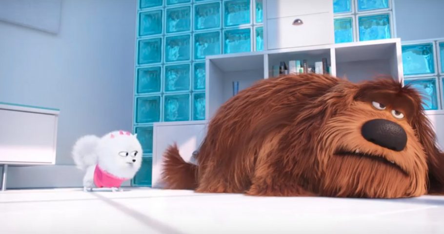 Adbreakanthems Sky Broadband – The Secret Life of Pets: Dance Party tv advert ad music