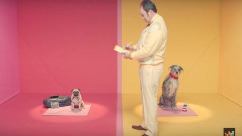 Adbreakanthems Deezer – Doggy Duo tv advert ad music