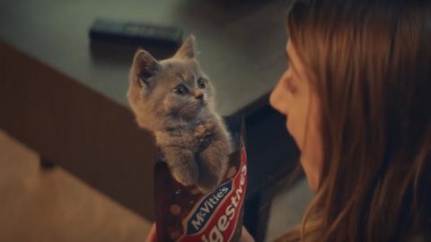 Adbreakanthems McVitie’s – Chocolate Digestives Nibbles tv advert ad music