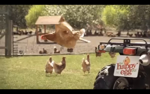 Adbreakanthems The Happy Egg Co – Happy Hens Lay Tasty Eggs tv advert ad music