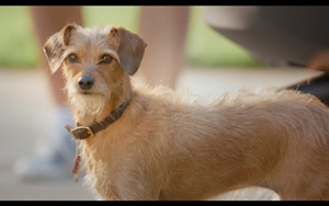 Adbreakanthems Toyota Rav-4 – Overdog tv advert ad music