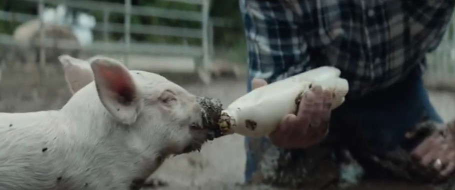 Adbreakanthems Actimel – Stay Strong. Farm On. tv advert ad music