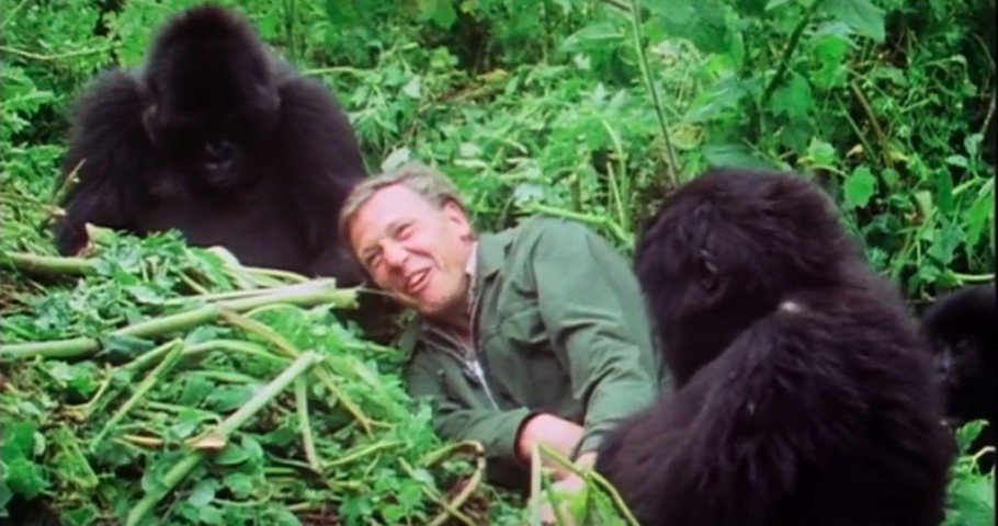 Adbreakanthems BBC Earth – David Attenborough at 90 tv advert ad music