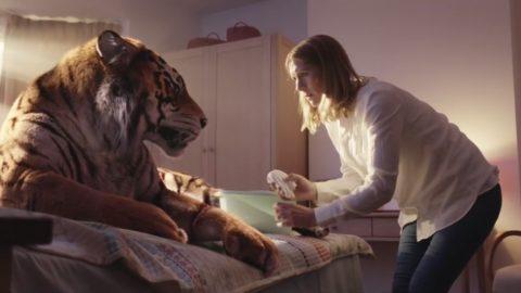 Adbreakanthems WWF – A Tiger In Suburbia tv advert ad music